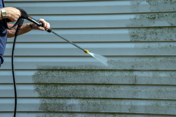 Best Roof Cleaning and Mildew Removal in Media, PA